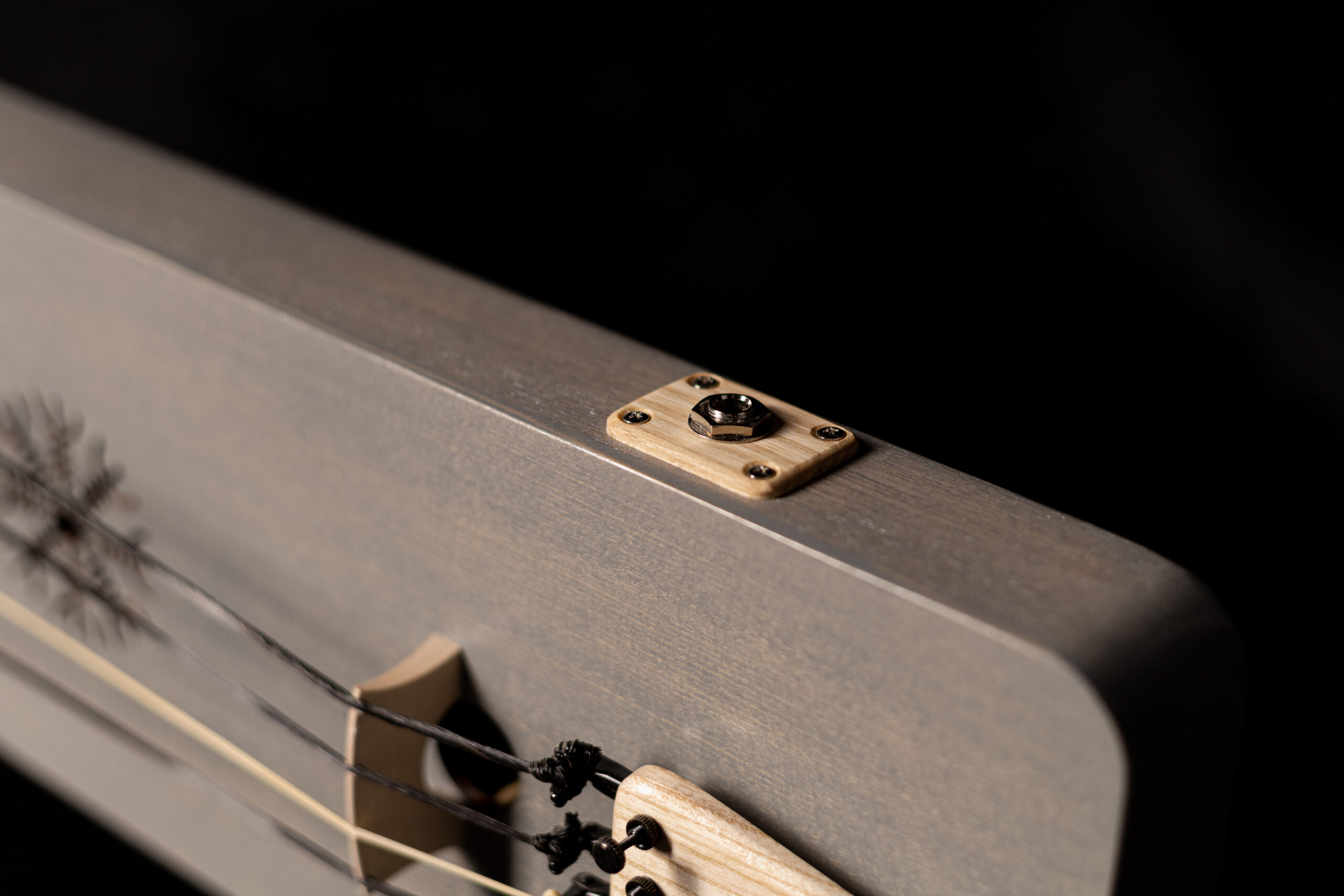 Tagelharpa/Talharpa 