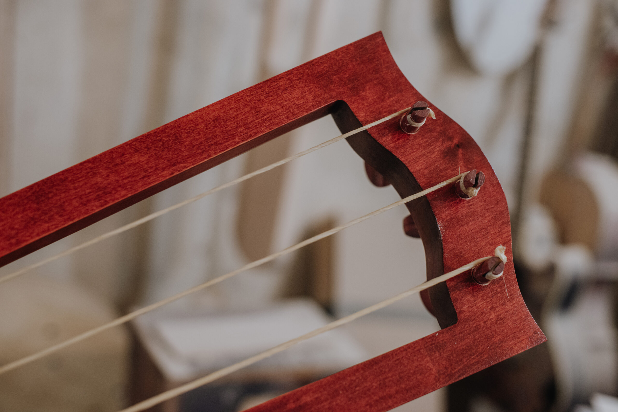 Bass Jouhikko "Ouroboros" - Image 10