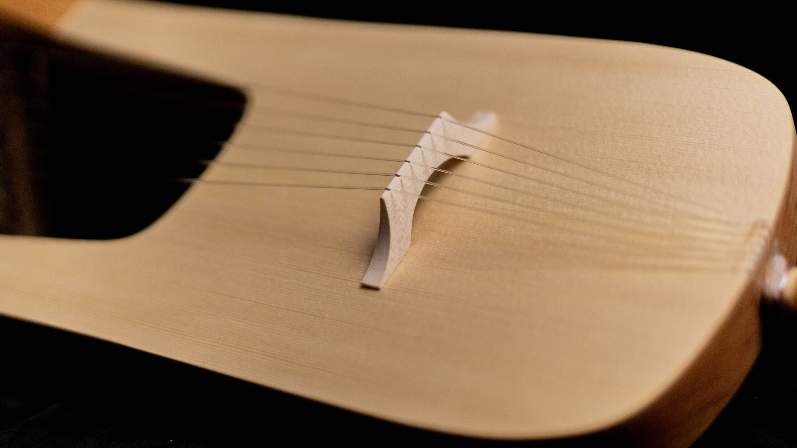 Cologne lyre without sound holes - Image 2