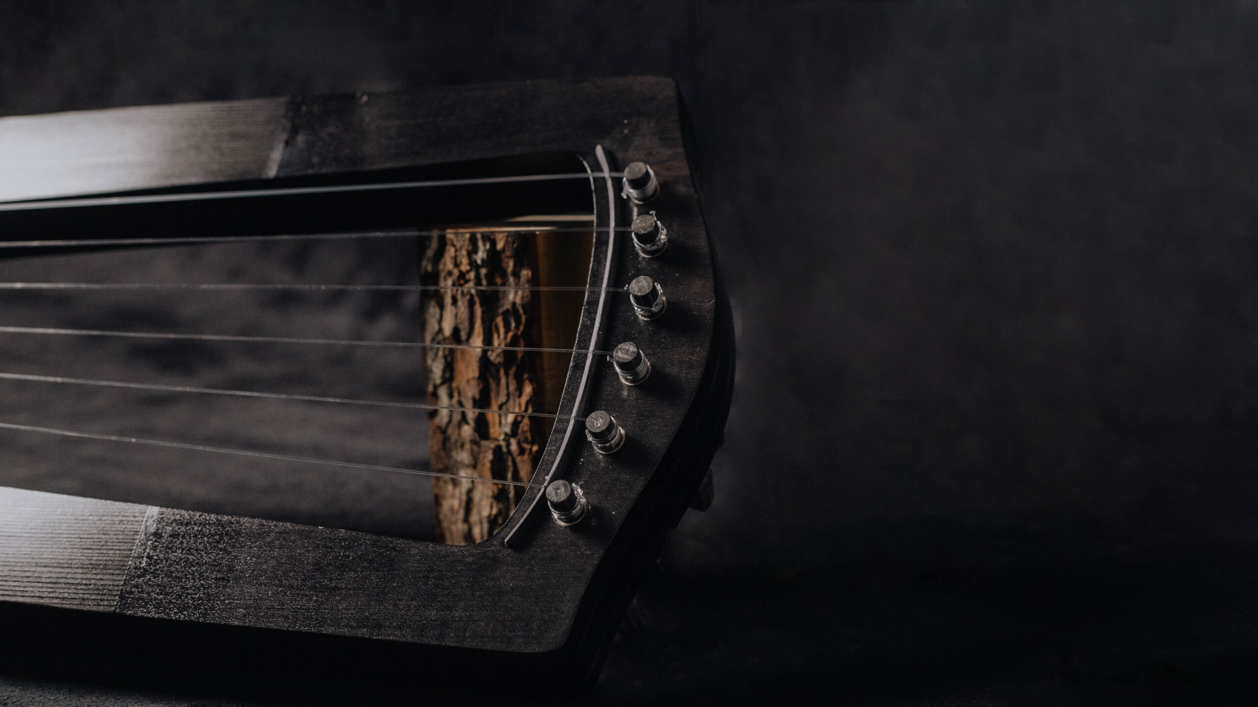 Trossingen lyre Black - Image 3