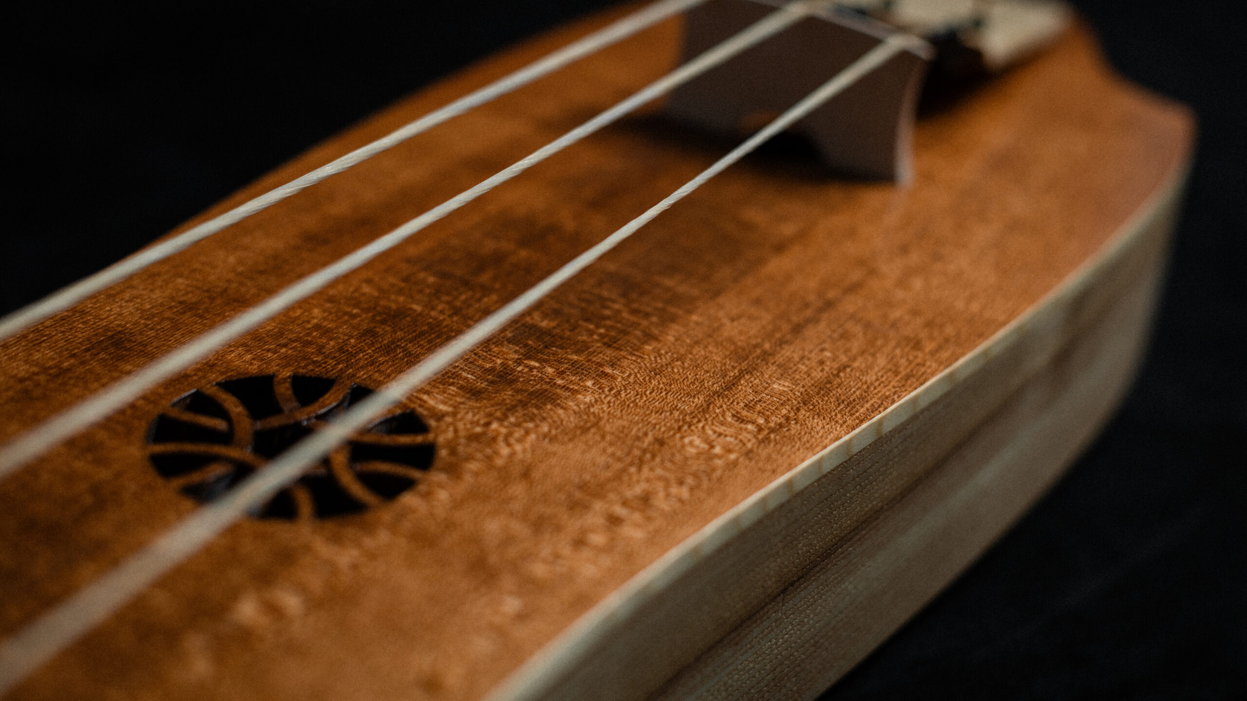 Bass Jouhikko / Bassharpa / Bass Tagelharpa - Image 4