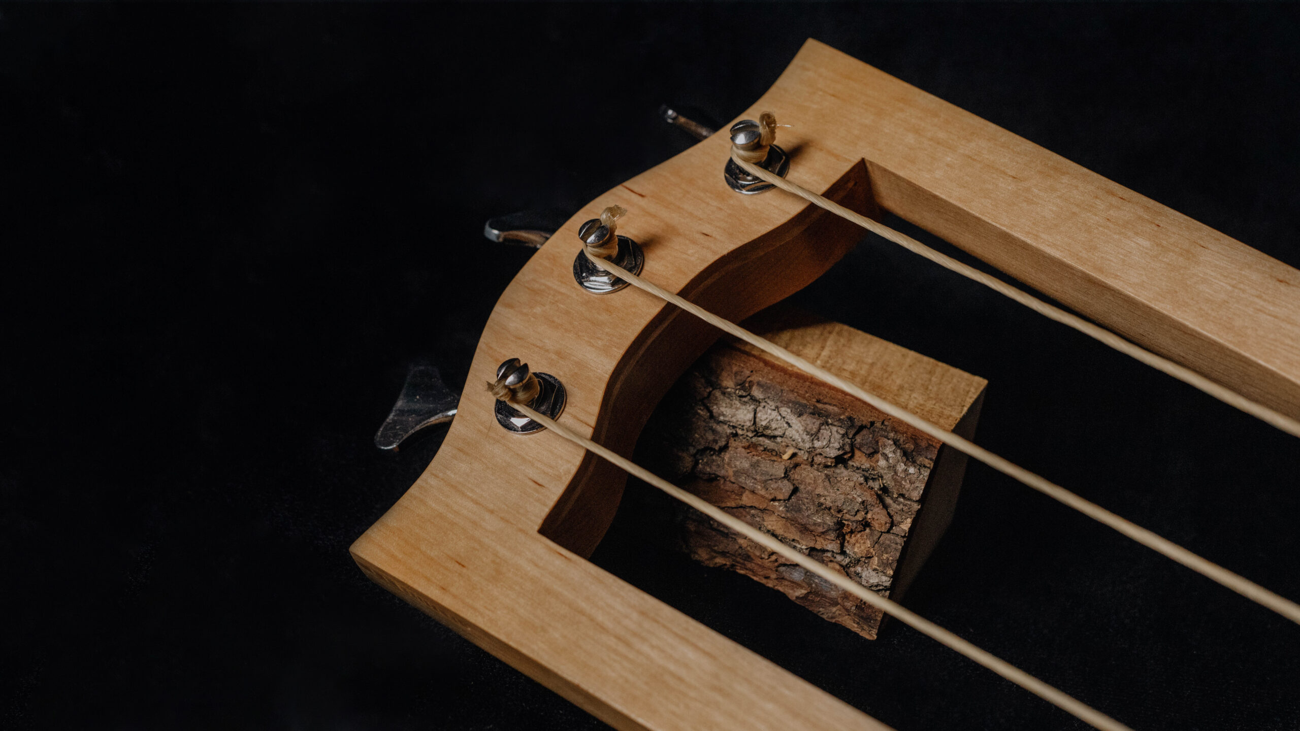 Bass Jouhikko / Bassharpa / Bass Tagelharpa - Image 3