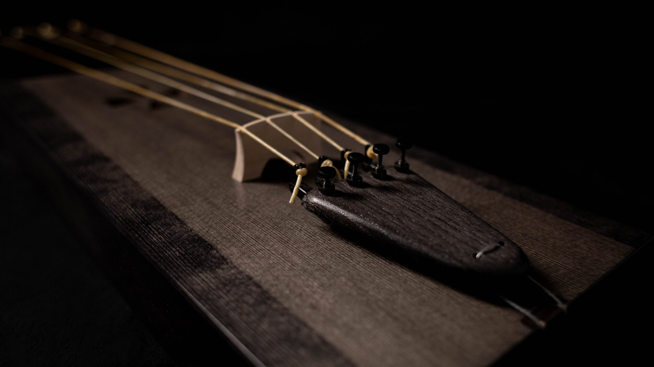 Tagelharpa/Talharpa bowed lyre - Image 4