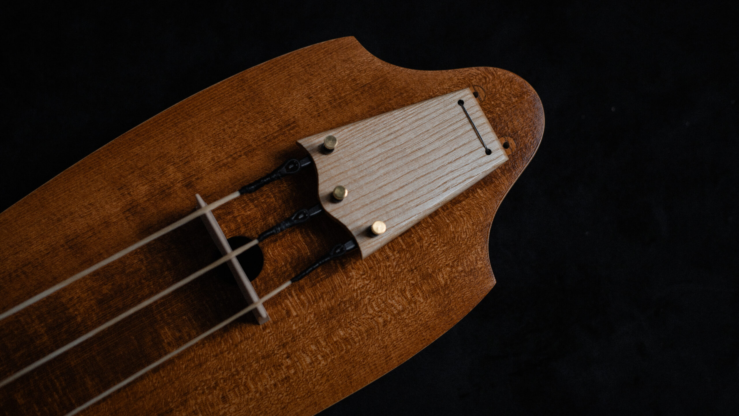 Bass Jouhikko / Bassharpa / Bass Tagelharpa - Image 5