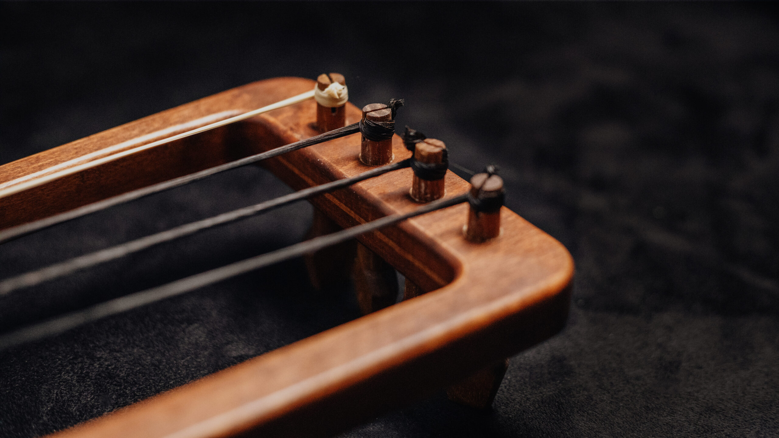 Tagelharpa / Talharpa "Runestone" - Image 5