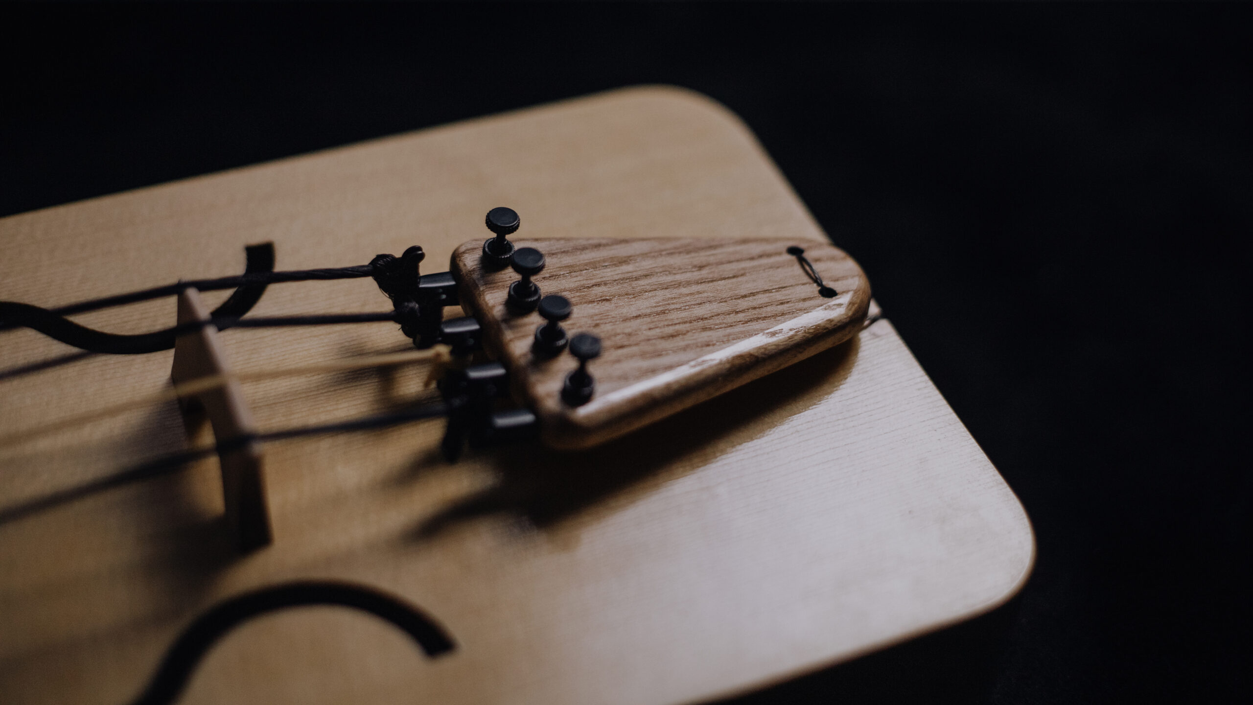 Tagelharpa/Talharpa bowed lyre - Image 5