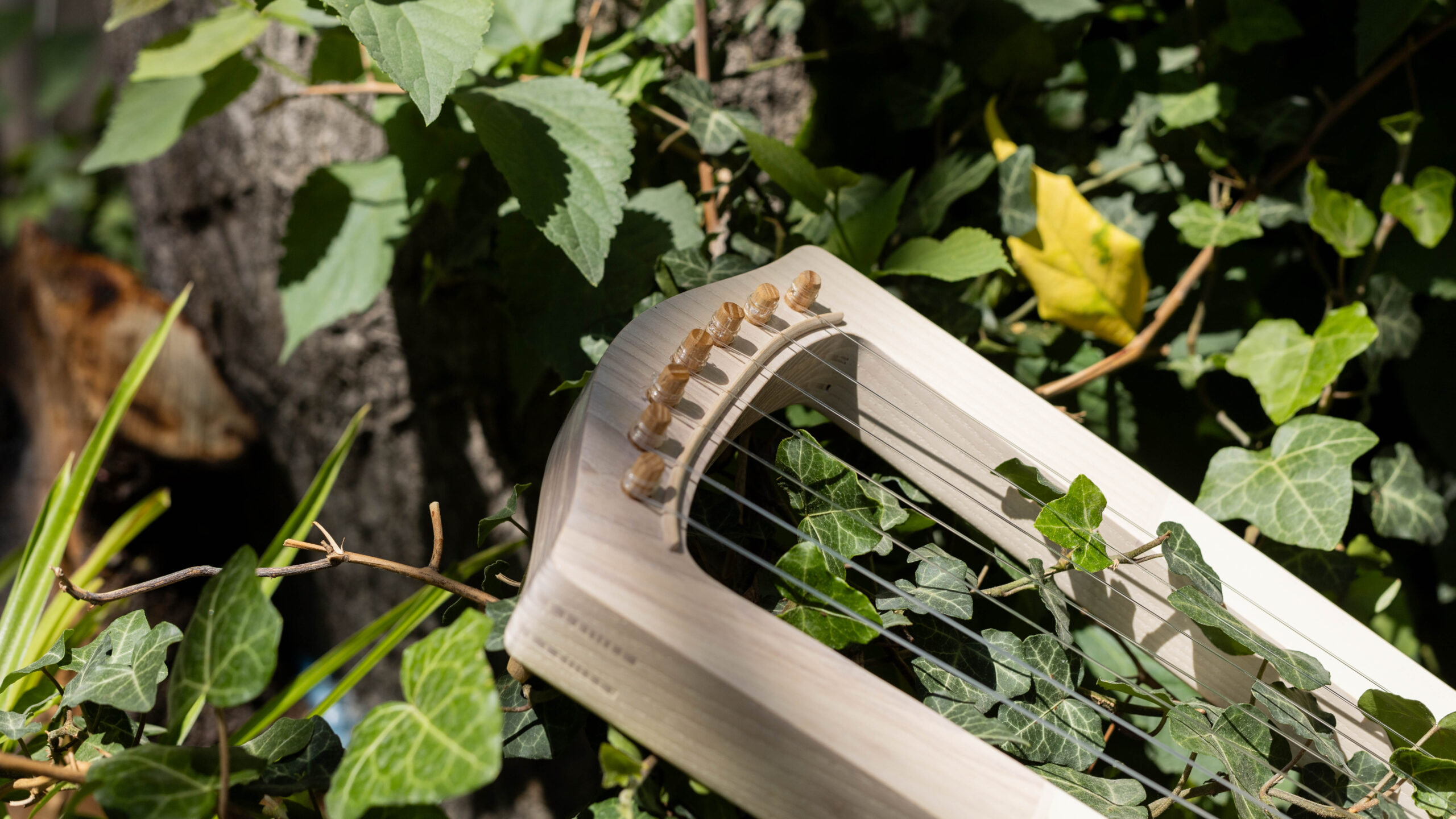 Trossingen lyre "Eclipse" - Image 6