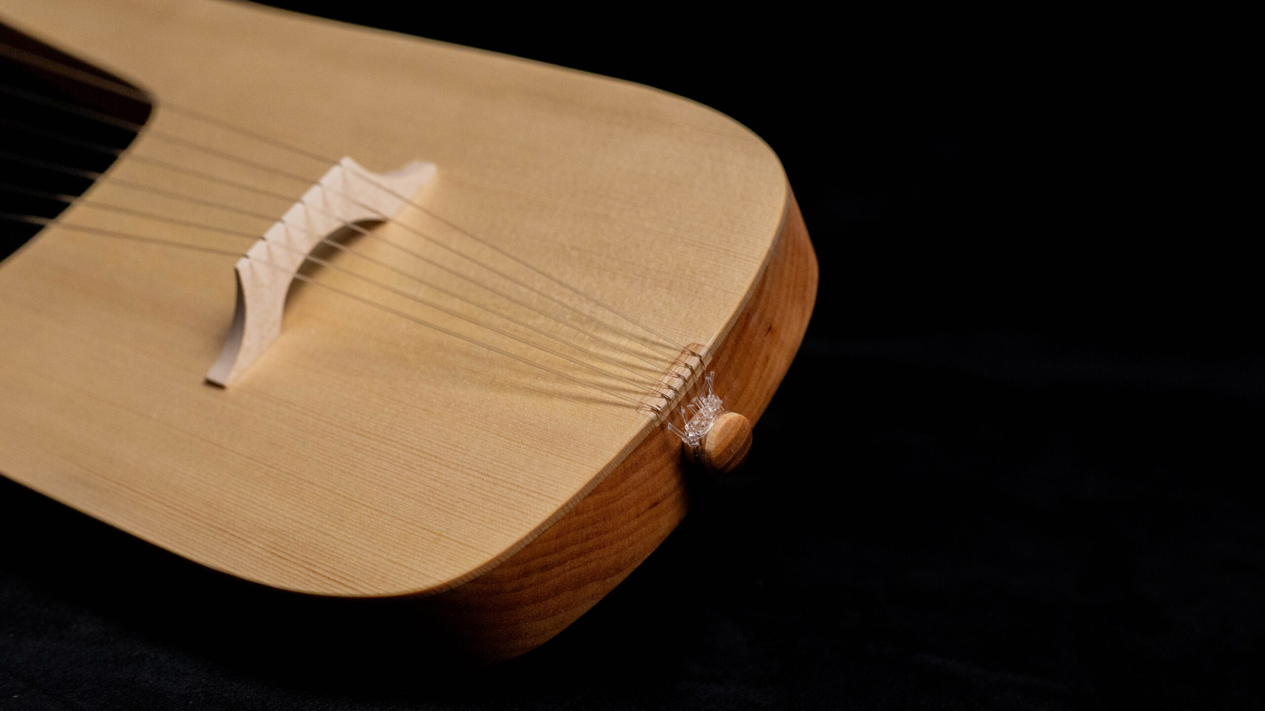 Cologne lyre without sound holes - Image 6