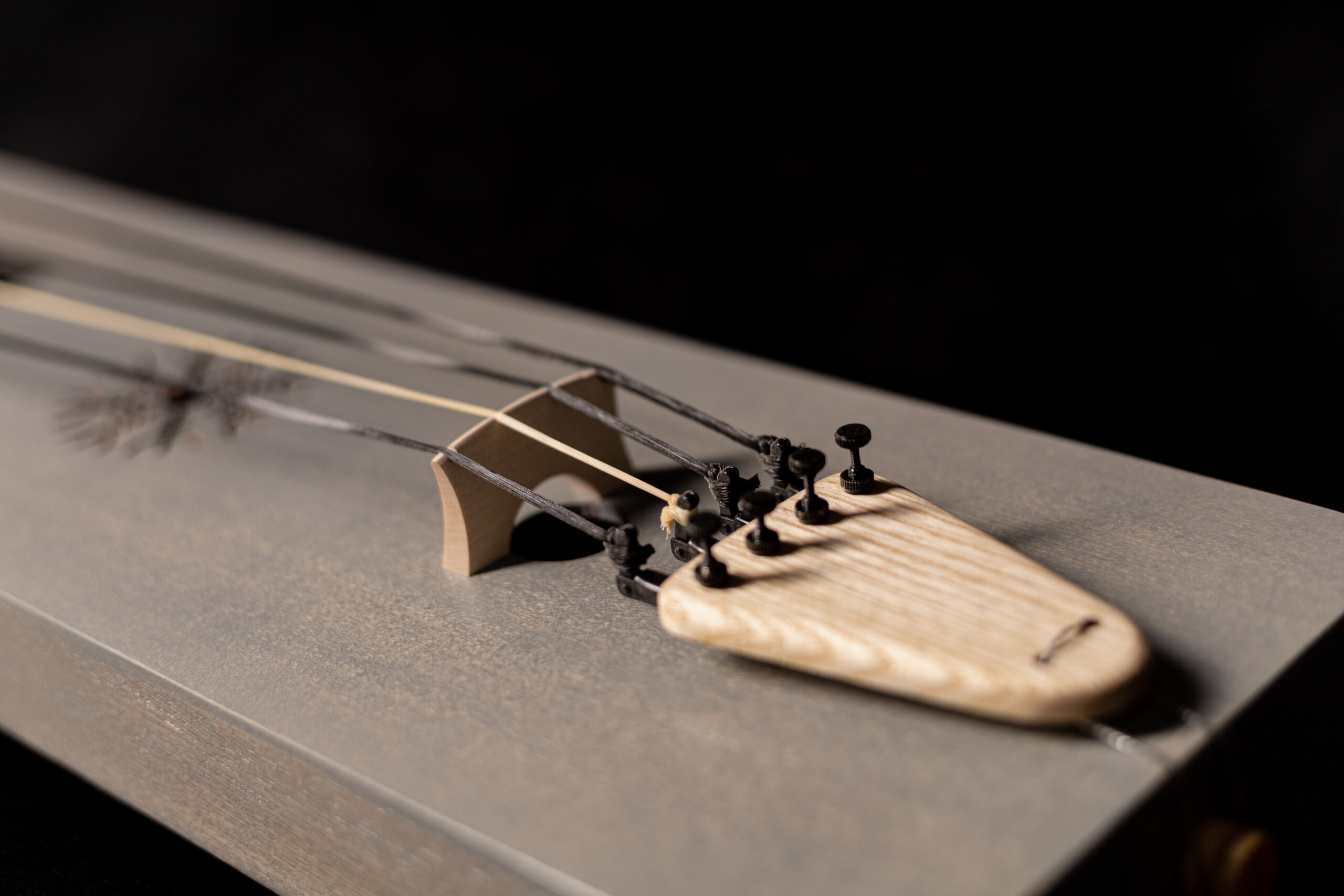 Tagelharpa/Talharpa 