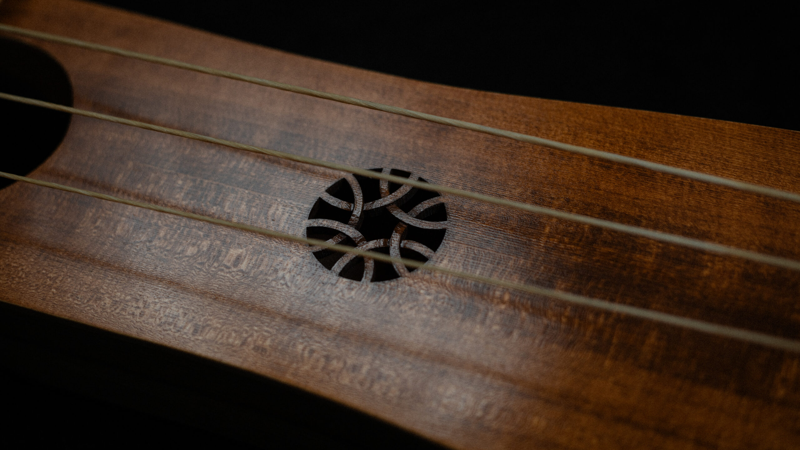 Bass Jouhikko / Bassharpa / Bass Tagelharpa - Image 7