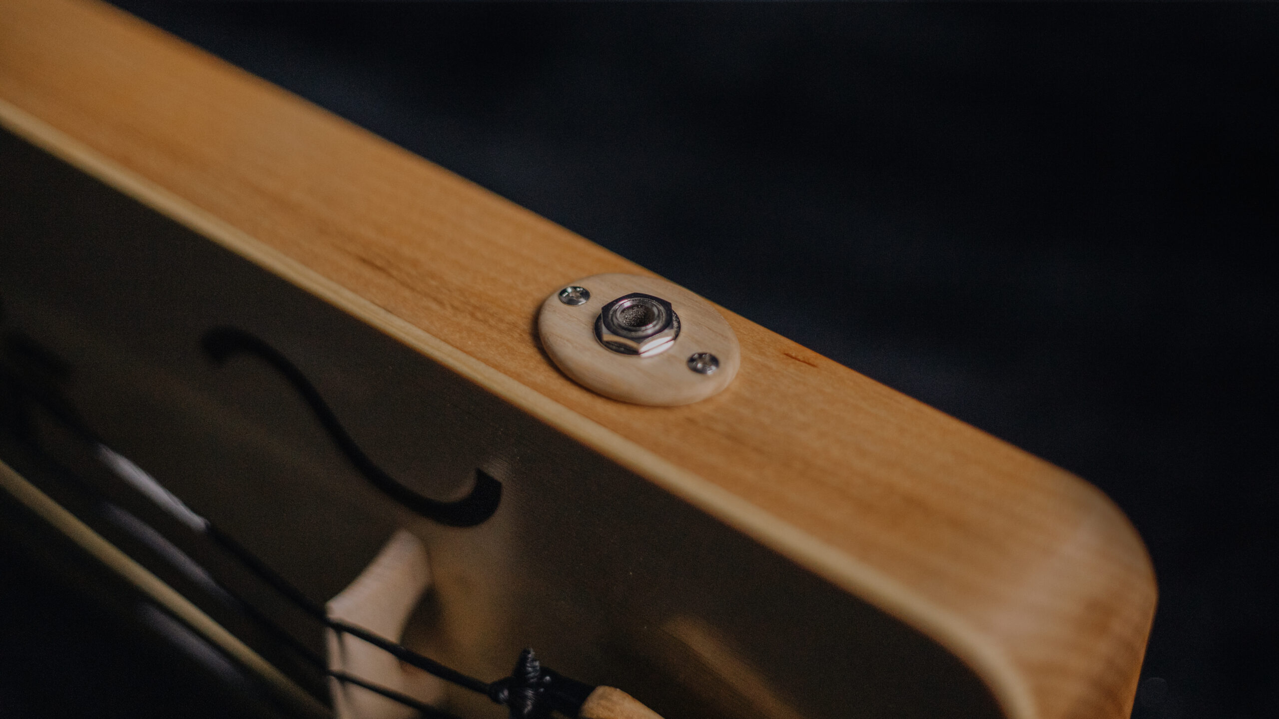 Tagelharpa/Talharpa bowed lyre - Image 7