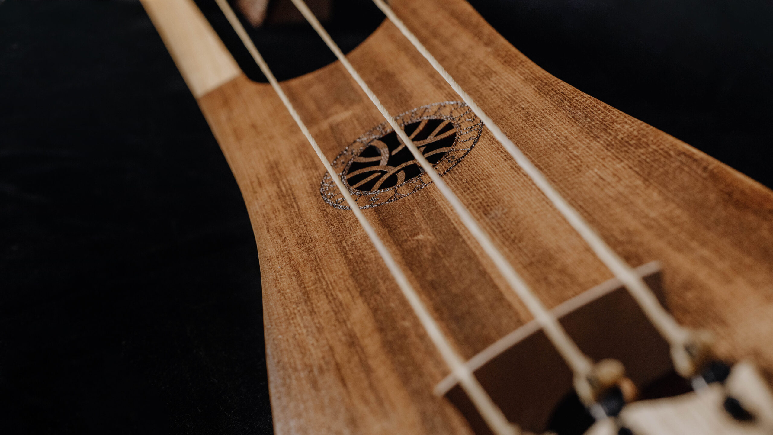 Bass Jouhikko / Bassharpa / Bass Tagelharpa - Image 7