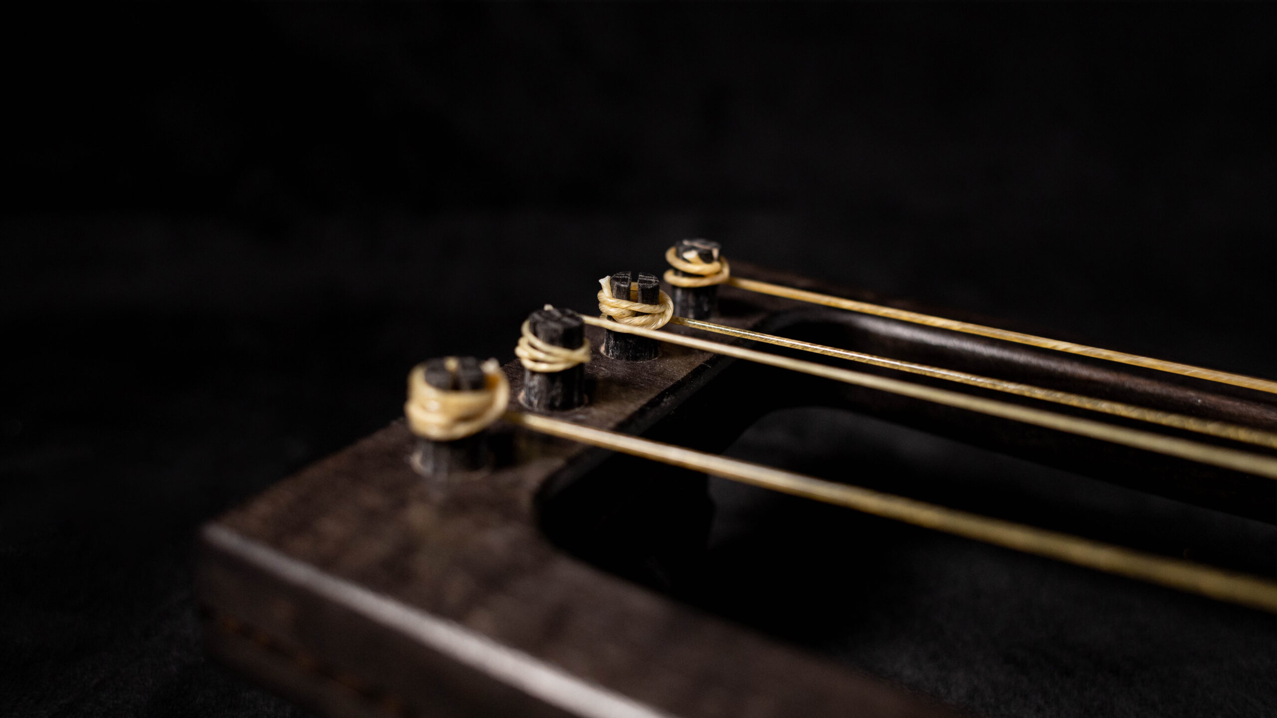 Tagelharpa/Talharpa bowed lyre - Image 8