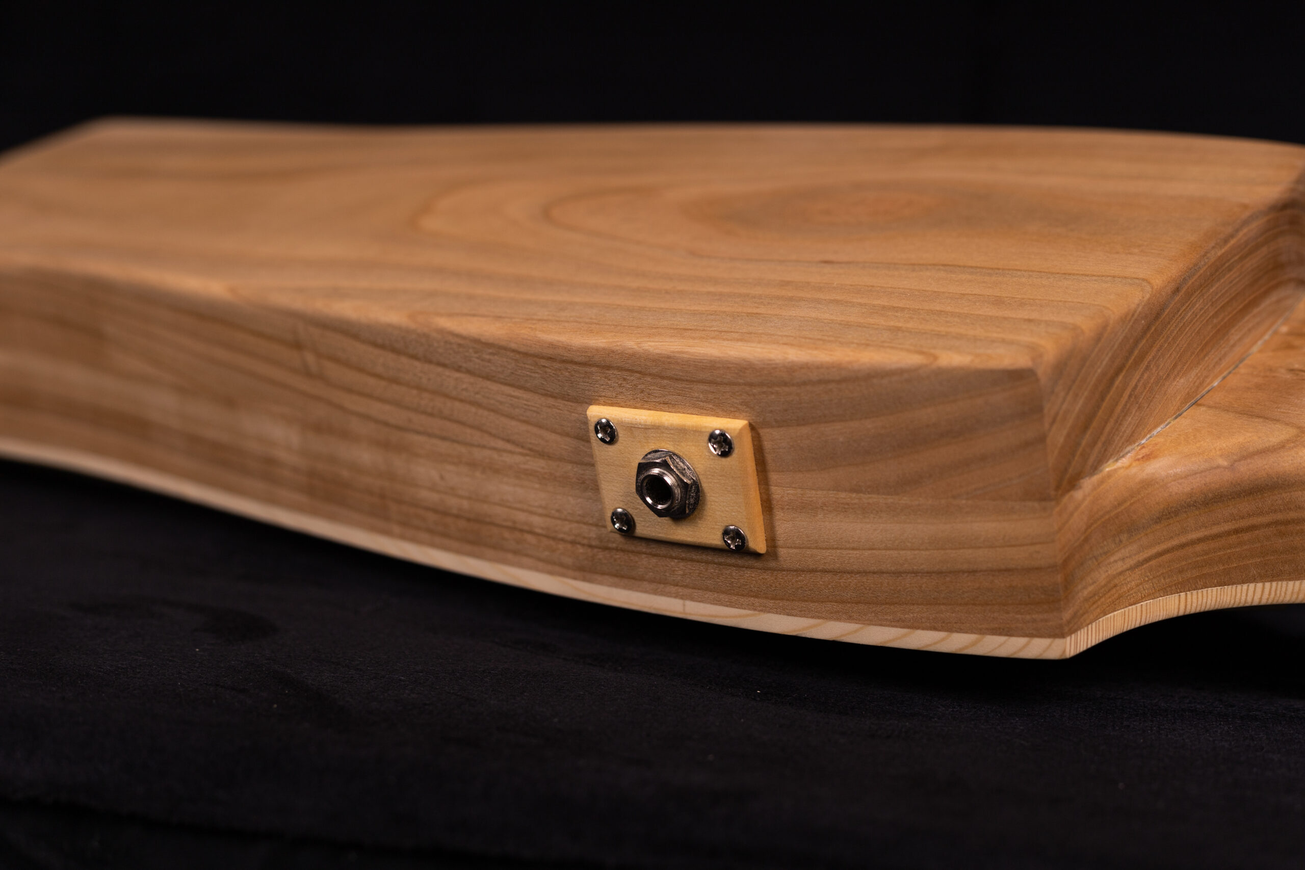 Bass Jouhikko / Bassharpa / Bass Tagelharpa - Image 9