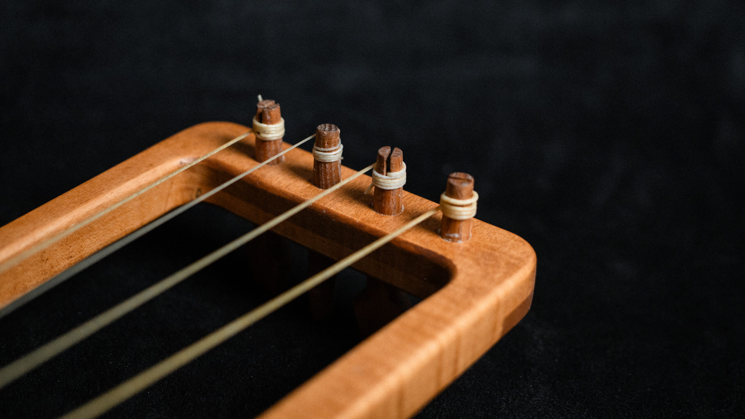 Tagelharpa / Talharpa Ancient Beasts - Image 6