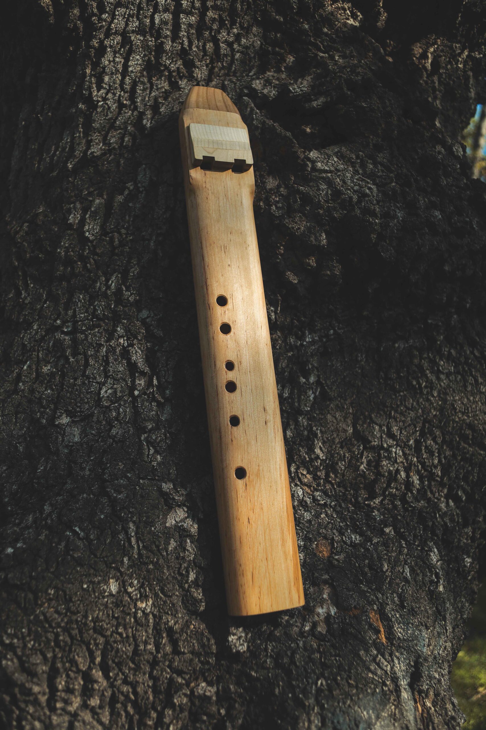 Double Native american flute - Key of E