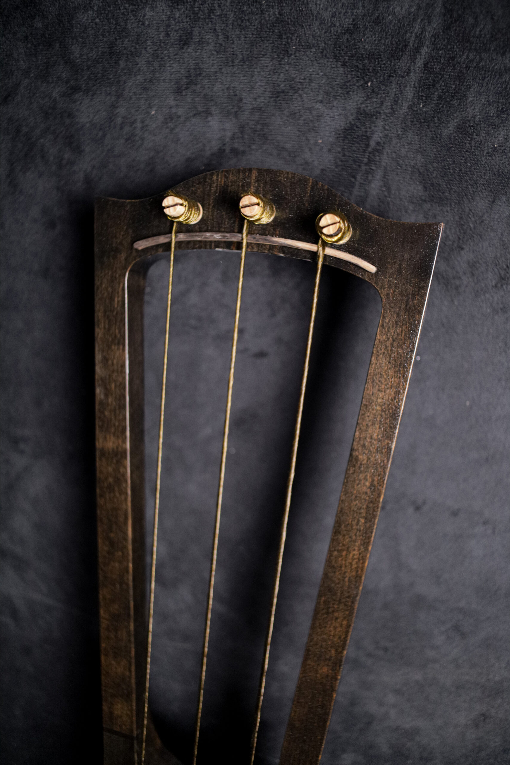 Bass Jouhikko / Bassharpa / Bass Tagelharpa - Image 2