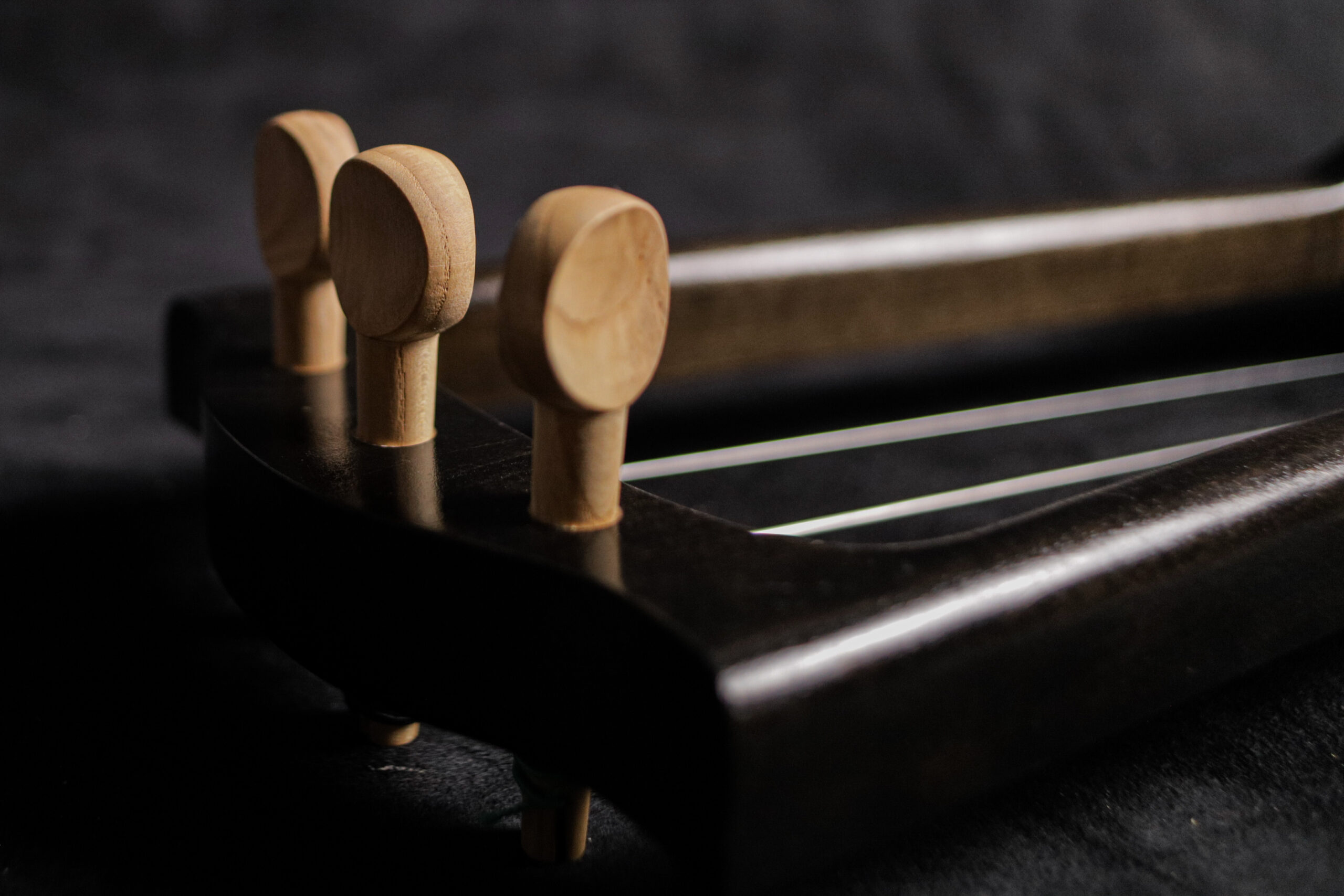 Bass Jouhikko / Bassharpa / Bass Tagelharpa - Image 7