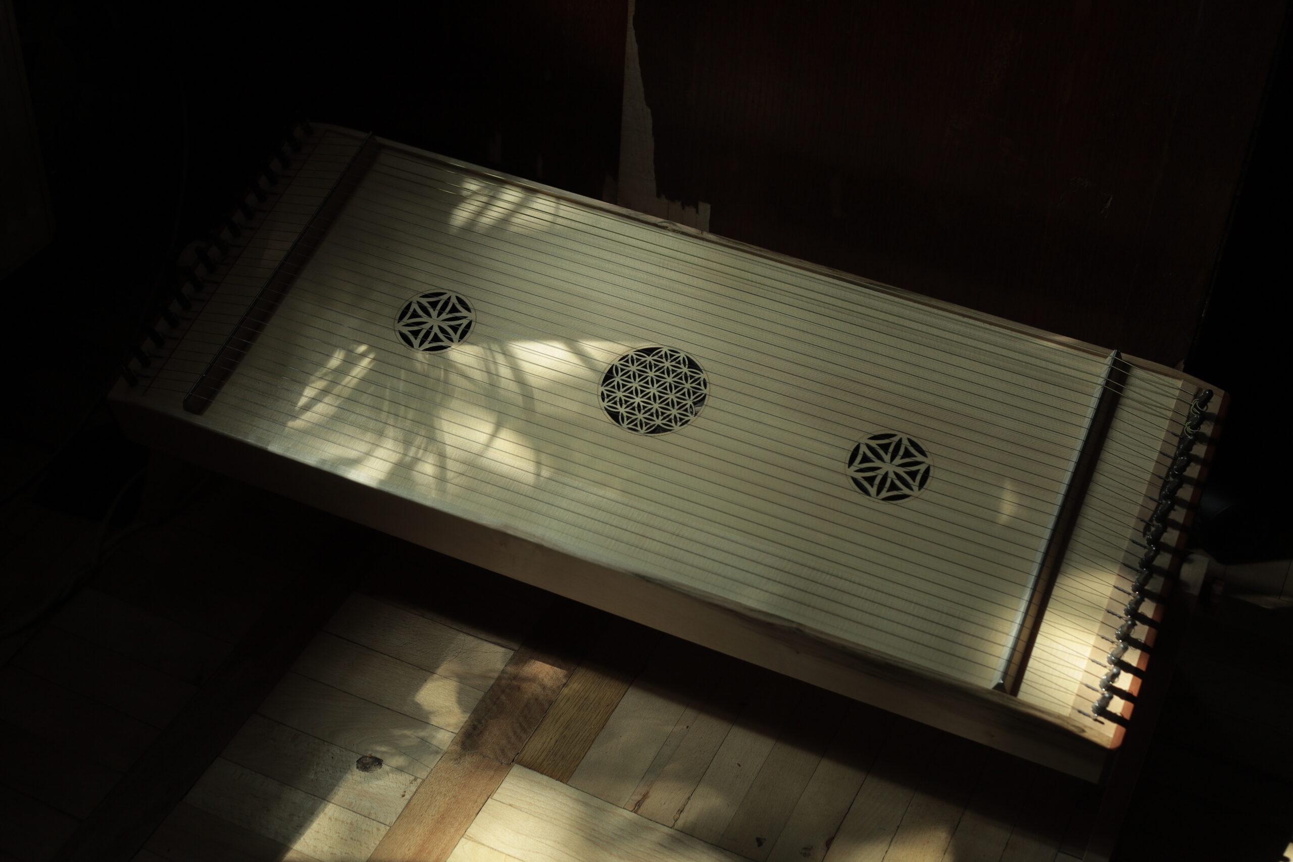 Monochord 30 strings Flower of Life