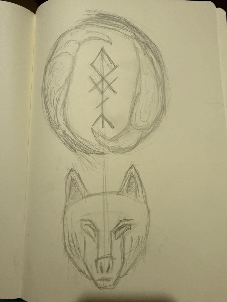 Custom Tagelharpa / Talharpa 2/2